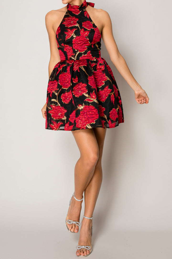 Designer Mini Halter Dress | Short Dresses For Women | Kyle X Shahida L Designer Mini Halter Dress | Short Dresses For Women | Kyle X Shahida L